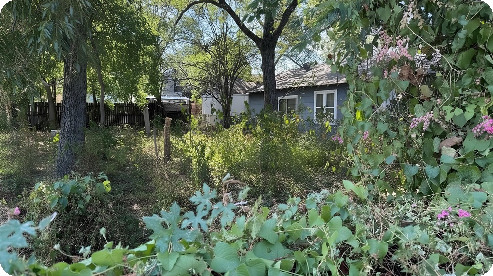 Property where ownership interests are being consolidated